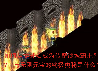 ��δ��㿪ʼ��Ϊ����ɳ�ǰ���������VIP������Ԫ�����ռ�������ʲô��