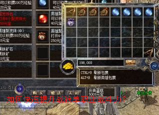 ��ο�������ս�ǵ�ְҵս������