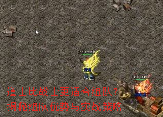 ��ʿ��սʿ���ʺ���ӣ��������������ʵս����