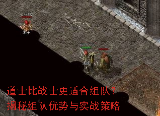 ��ʿ��սʿ���ʺ���ӣ��������������ʵս����