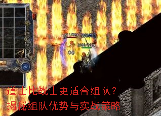 ��ʿ��սʿ���ʺ���ӣ��������������ʵս����