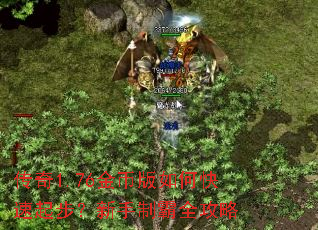 ����1.76��Ұ���ο����𲽣������ư�ȫ����