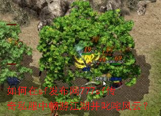 如何在sf发布网777sf传奇私服中畅游江湖并叱咤风云? 如何在sf发布网777sf传奇私服中畅游江湖并叱咤风云?