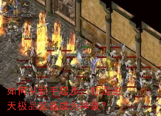 如何从新手起步,打造逆天极品装备成为神豪? 如何从新手起步,打造逆天极品装备成为神豪?