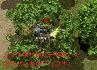 新手如何快速提升等级?决战玛法必备技巧有哪些? 新手如何快速提升等级?决战玛法必备技巧有哪些?