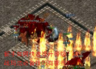 新手如何快速提升等级?决战玛法必备技巧有哪些? 新手如何快速提升等级?决战玛法必备技巧有哪些?