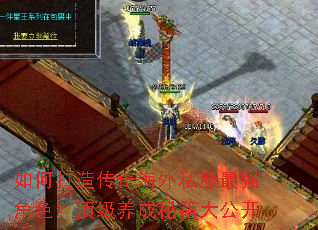 ��δ��촫�溣��˽����ǿ��ɫ�����������ؼ��󹫿�