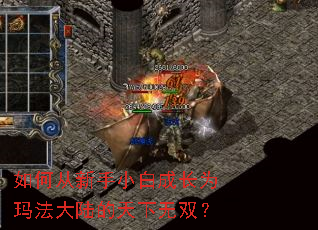 如何从新手小白成长为玛法大陆的天下无双? 如何从新手小白成长为玛法大陆的天下无双?