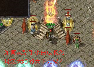 如何从新手小白成长为玛法大陆的天下无双? 如何从新手小白成长为玛法大陆的天下无双?
