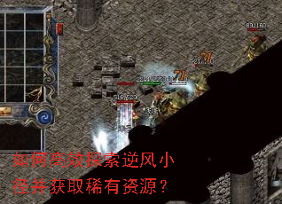 如何高效探索逆风小径并获取稀有资源? 如何高效探索逆风小径并获取稀有资源?