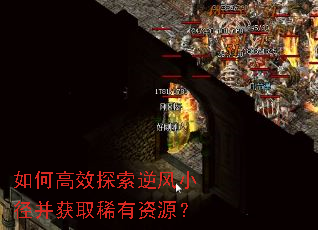 如何高效探索逆风小径并获取稀有资源? 如何高效探索逆风小径并获取稀有资源?