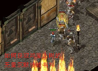 如何获取鸿蒙古树的无量沉默技能书? 如何获取鸿蒙古树的无量沉默技能书?