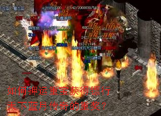 如何押运重宝获得镖行天下蓝月传奇的重奖? 如何押运重宝获得镖行天下蓝月传奇的重奖?