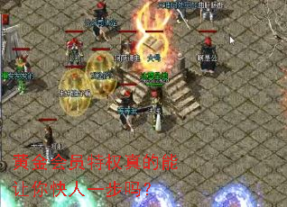 黄金会员特权真的能让你快人一步吗? 黄金会员特权真的能让你快人一步吗?