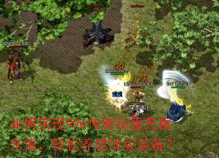 如何实现996传奇私服无限充值,轻松养成顶级装备? 如何实现996传奇私服无限充值,轻松养成顶级装备?