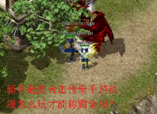 新开超变合击传奇手游私服怎么玩才能称霸全服? 新开超变合击传奇手游私服怎么玩才能称霸全服?