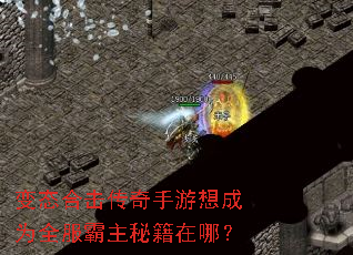 ��̬�ϻ������������Ϊȫ�������ؼ����ģ�