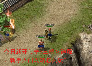 �����¿�����3���˻�ͨ�����������Ź�����ô�棿