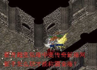 新开超变私服中变传奇新服网新手怎么玩才能称霸全服? 新开超变私服中变传奇新服网新手怎么玩才能称霸全服?