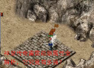 神皇传奇雷霆勋章属性全解析,它究竟有多强? 神皇传奇雷霆勋章属性全解析,它究竟有多强?