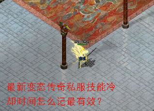 ���±�̬����˽��������ȴʱ����ô������Ч��