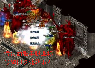 �����·���ְҵ�ƺ���ο��ٻ�ȡ��