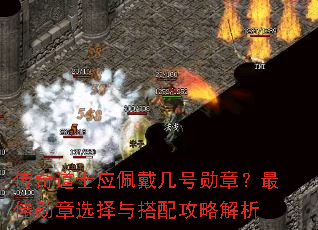 传奇道士应佩戴几号勋章?最佳勋章选择与搭配攻略解析 传奇道士应佩戴几号勋章?最佳勋章选择与搭配攻略解析