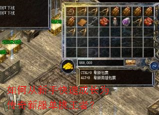 ��δ����ֿ��ٳɳ�Ϊ�����·��������ߣ�