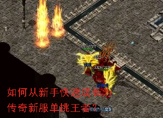 ��δ����ֿ��ٳɳ�Ϊ�����·��������ߣ�