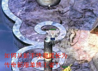 ��δ����ֿ��ٳɳ�Ϊ�����·��������ߣ�
