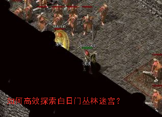 ��θ�Ч̽�������Ŵ����Թ���