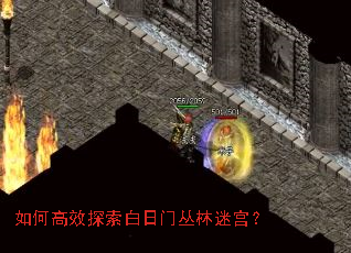 ��θ�Ч̽�������Ŵ����Թ���