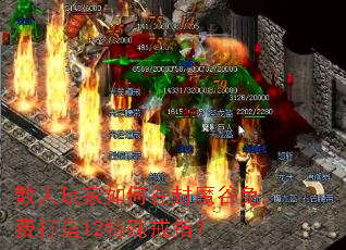 ɢ���������ڷ�ħ����Ѵ���12�����ָ��