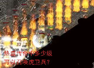 热血传奇中多少级可以召唤虎卫兵? 热血传奇中多少级可以召唤虎卫兵?