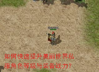 如何快速提升美丽世界私服角色等级与装备战力? 如何快速提升美丽世界私服角色等级与装备战力?
