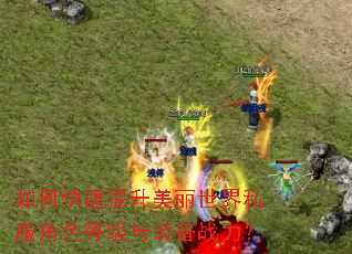 如何快速提升美丽世界私服角色等级与装备战力? 如何快速提升美丽世界私服角色等级与装备战力?