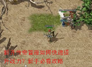 新开传奇首服如何快速提升战力?新手必看攻略 新开传奇首服如何快速提升战力?新手必看攻略