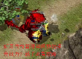 新开传奇首服如何快速提升战力?新手必看攻略 新开传奇首服如何快速提升战力?新手必看攻略