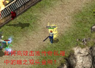 如何高效击败传奇私服中的暗之双头金刚? 如何高效击败传奇私服中的暗之双头金刚?