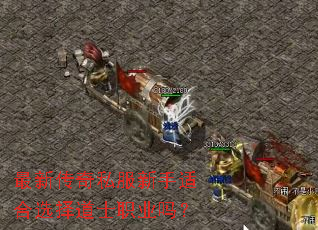 最新传奇私服新手适合选择道士职业吗? 最新传奇私服新手适合选择道士职业吗?