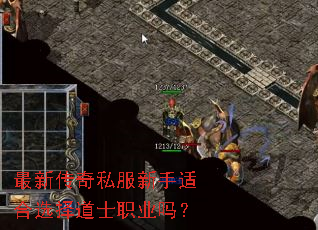 最新传奇私服新手适合选择道士职业吗? 最新传奇私服新手适合选择道士职业吗?