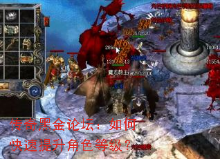 传奇黑金论坛:如何快速提升角色等级? 传奇黑金论坛:如何快速提升角色等级?