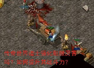传奇世界道士强化骷髅厉害吗?如何提升其战斗力? 传奇世界道士强化骷髅厉害吗?如何提升其战斗力?