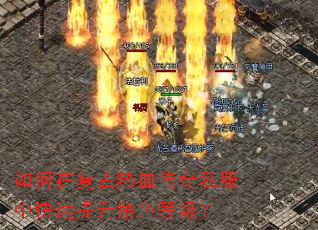����ڸ�����Ѫ����˽���п���������ɫ�ȼ���